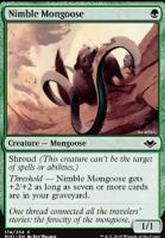 Nimble Mongoose
