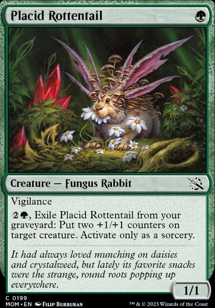 Hovedbilde Placid Rottentail (foil)