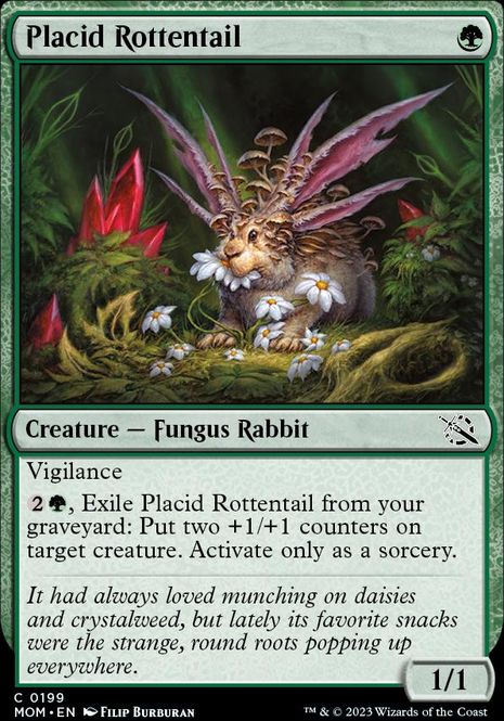 Hovedbilde Placid Rottentail (foil)