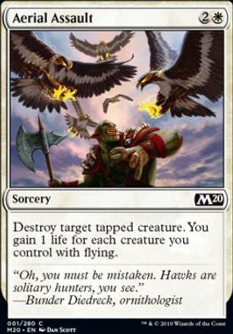 Hovedbilde Aerial Assault
