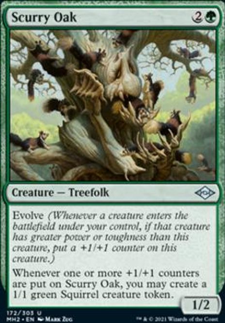 Hovedbilde Scurry Oak