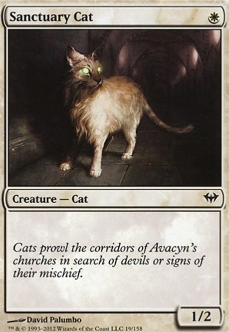 Hovedbilde Sanctuary Cat