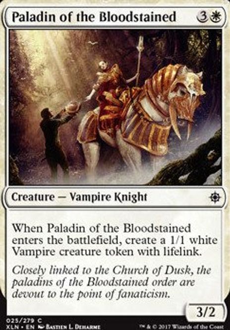 Hovedbilde Paladin of the Bloodstained