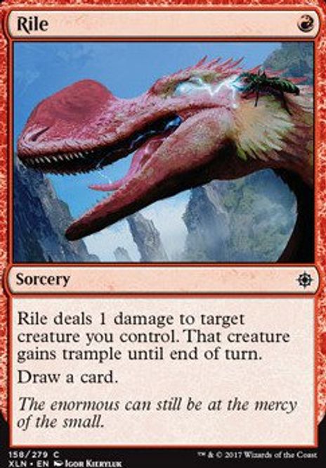 Hovedbilde Rile
