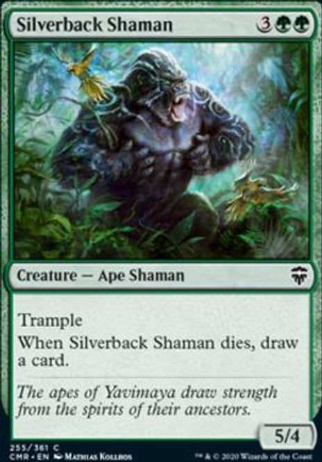Hovedbilde Silverback Shaman