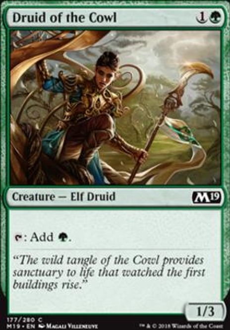 Hovedbilde Druid of the Cowl