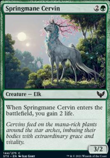 Hovedbilde Springmane Cervin