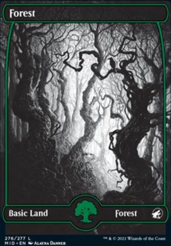 Forest (276) (foil)