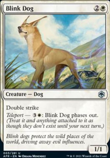 Hovedbilde Blink Dog
