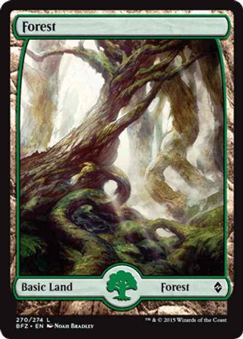 Hovedbilde Forest (270) FOIL