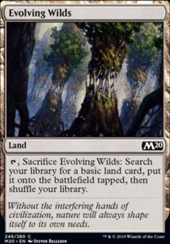 Evolving Wilds (foil)