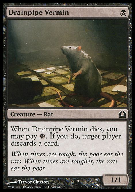 Hovedbilde Drainpipe Vermin