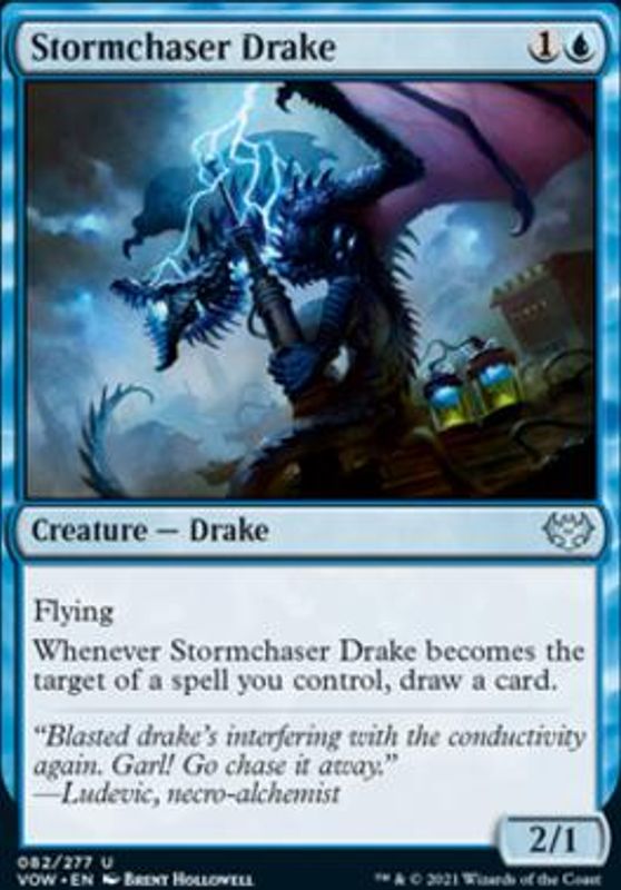 Stormchaser Drake