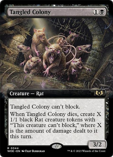 Hovedbilde Tangled Colony (Extended Art)