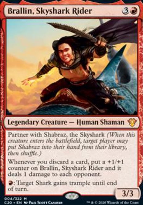 Hovedbilde Brallin, Skyshark Rider ...
