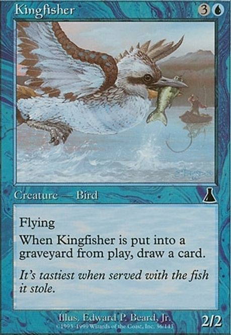 Hovedbilde Kingfisher