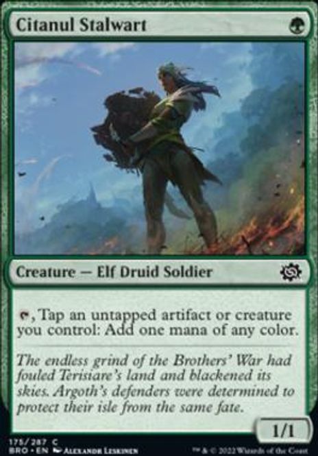 Hovedbilde Citanul Stalwart
