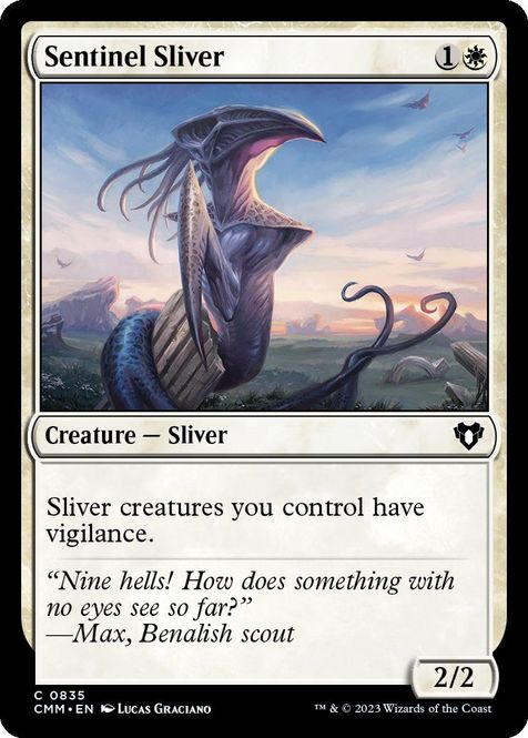 Hovedbilde Sentinel Sliver
