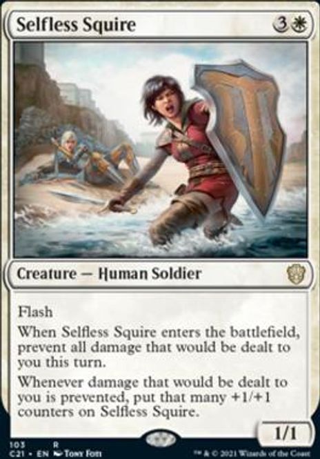 Hovedbilde Selfless Squire