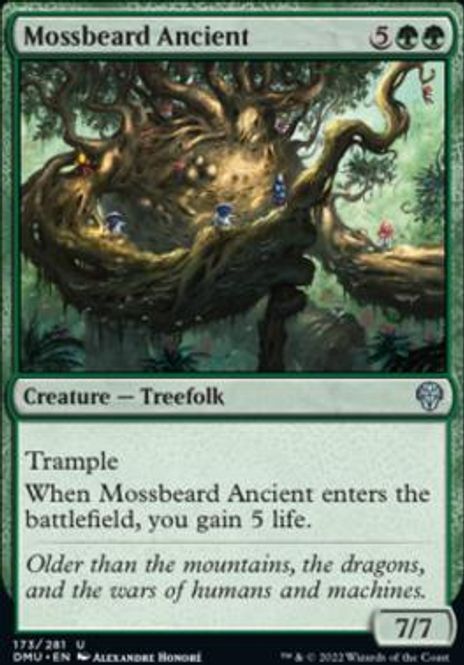 Hovedbilde Mossbeard Ancient