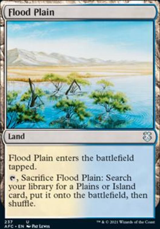 Flood Plain