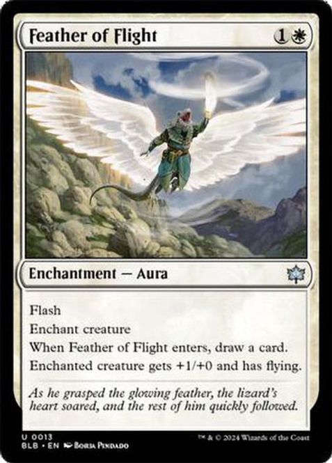 Hovedbilde Feather of Flight