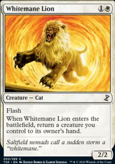 Hovedbilde Whitemane Lion