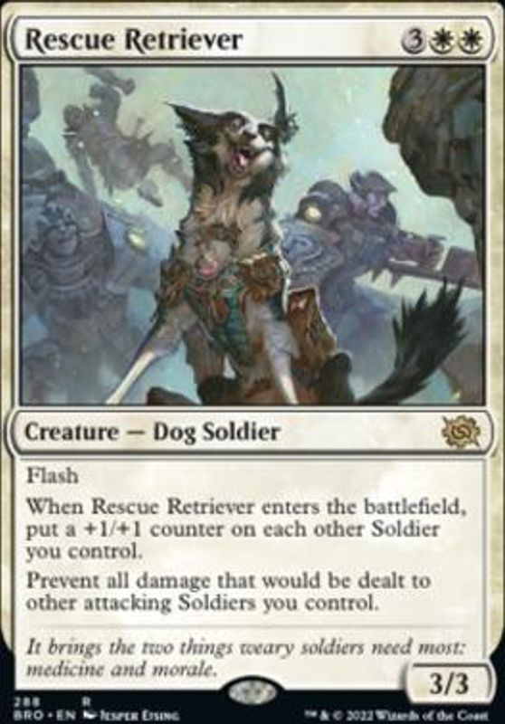 Rescue Retriever