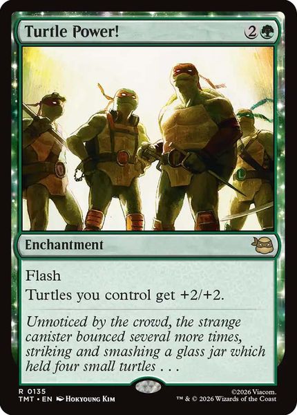 Hovedbilde Turtle Power!