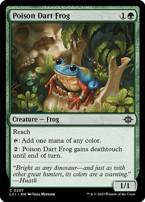 Hovedbilde Poison Dart Frog
