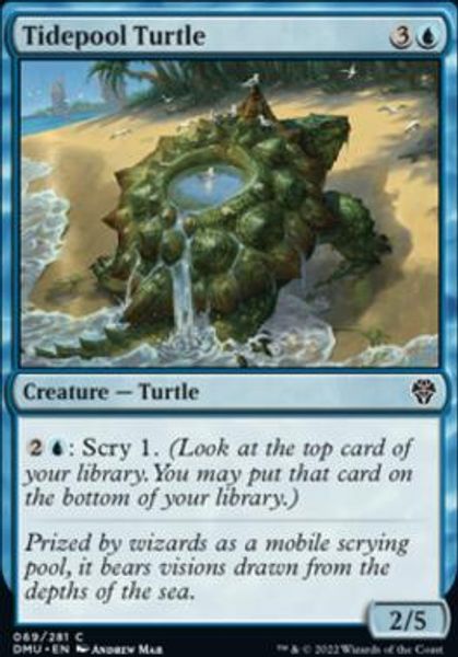 Hovedbilde Tidepool Turtle