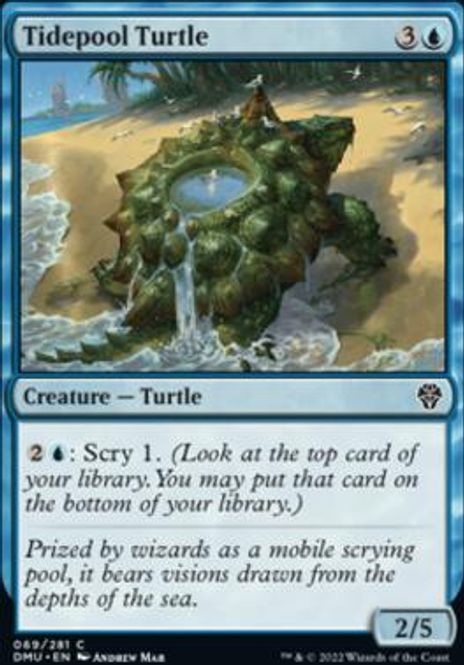 Hovedbilde Tidepool Turtle
