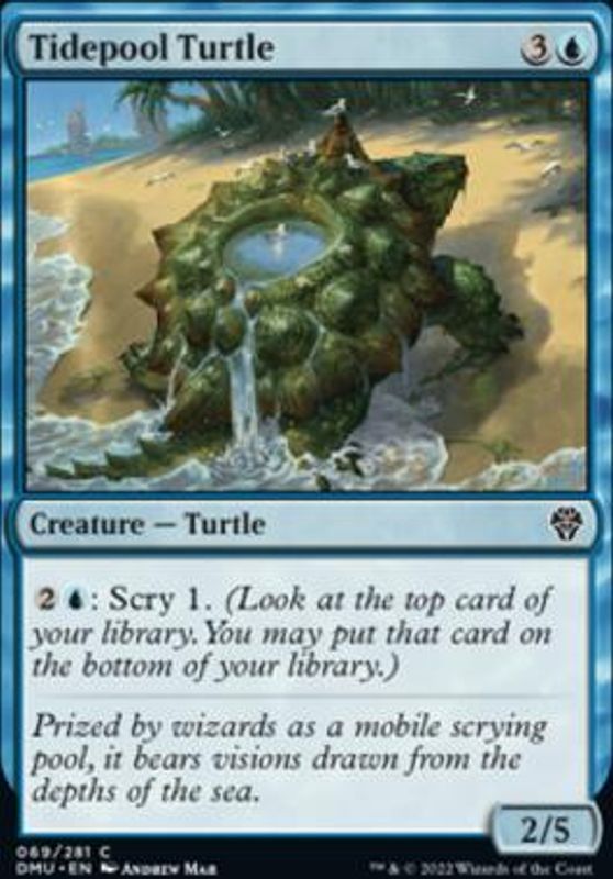 Tidepool Turtle (foil)